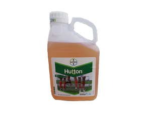 Hutton - 5 lt