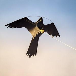 Triwi Dravec maketa - náhradní pták nový