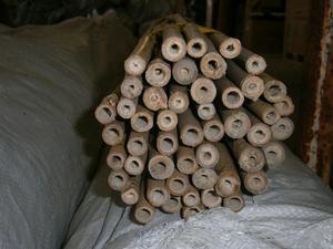 Kůl bambus 210 cm/20-22 mm (100 ks/bal)