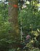 Tyč teleskopická na sprej.barvy 124/215 cm