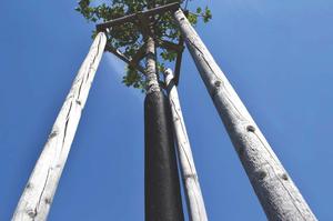 Chránička TreeFlex 15x110 cm 75 ks