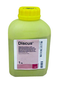 Discus - 0,6 kg