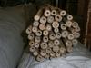 Kůl bambus 180 cm/20-22 mm (50 ks/bal)